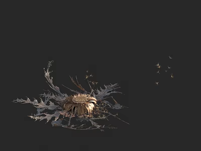 Unique Silver Foliage Plant With Yellow Center And Small Insects On Dark Background 3d model