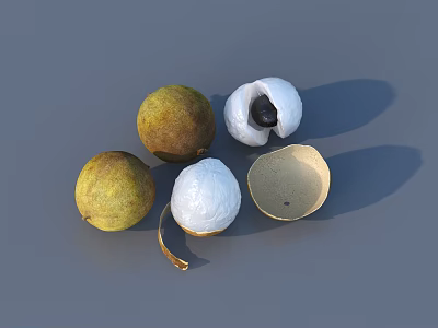 Fresh Ripe Longan Fruits With Whole Peeled Flesh And Shells 3d model