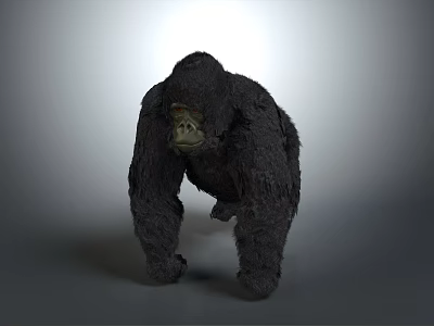 Realistic 3D Gorilla Model With Dark Fur Standing On Gray Background 3d model