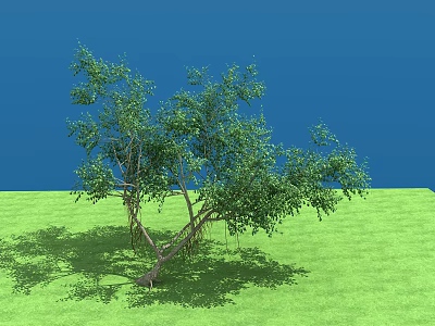 Arbor With Lush Green Leaves Multiple Branches On Green Grass Under Blue Sky 3d model