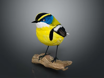 Colorful Bird With Yellow Body Blue Face Black White Head Perched On Wooden Branch 3d model