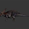 Two Vibrant Triceratops Dinosaurs With Colorful Frills And Textured Skin