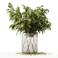 Transparent And Dark Glass Vases With Green Ferns Leaves And Eucalyptus Plants Arrangement
