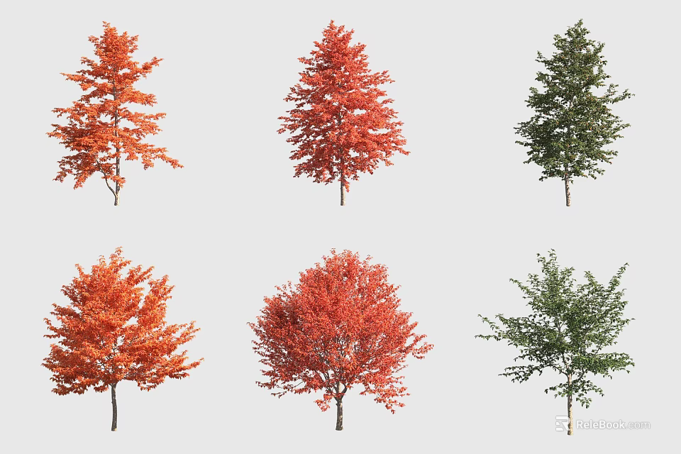 Ornamental Arbor Trees With Red And Green Foliage In Various Shapes For Landscaping 3d model 