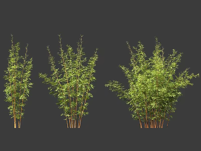 Various Bamboo Plants With Different Shapes Green Leaves And Brown Stems 3d model