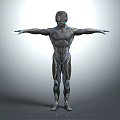 Futuristic Humanoid Robot Character With Intricate Mechanical Body And Outstretched Arms