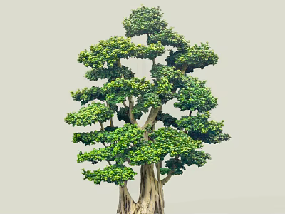 Lush Green Arbor With Unique Branching Structure And Ornamental Foliage 3d model
