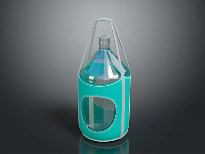 Turquoise Portable Storage Bag With Transparent Window And Handle For Bottles 3d model