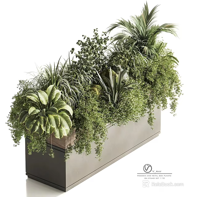 Modern Planter Box With Various Green Plants 3d model
