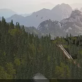 Gorgeous Natural Mountain Forest Landscape With Lush Pines Winding Path And Flying Birds Above Peaks