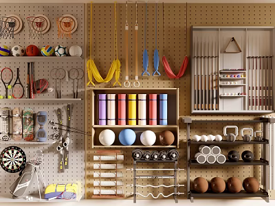 Organized Sports Equipment Storage With Balls Rackets Darts And Weight Plates On Pegboard Shelves 3d model