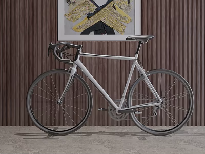 Stylish Silver Road Bicycle Against Wooden Wall With Decorative Painting 3d model