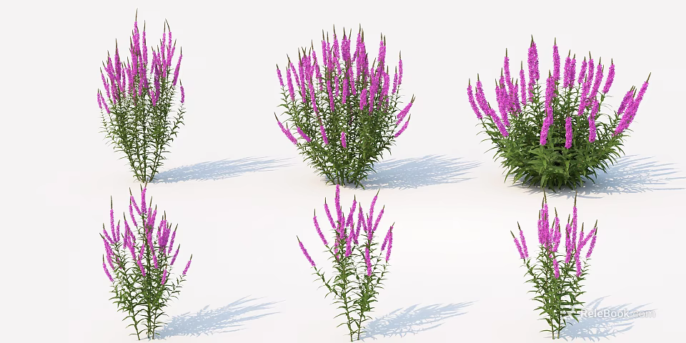 Lush Purple Flower Clusters With Green Leaves And Bushy Stems 3d model 