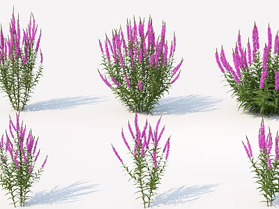 Lush Purple Flower Clusters With Green Leaves And Bushy Stems 3d model