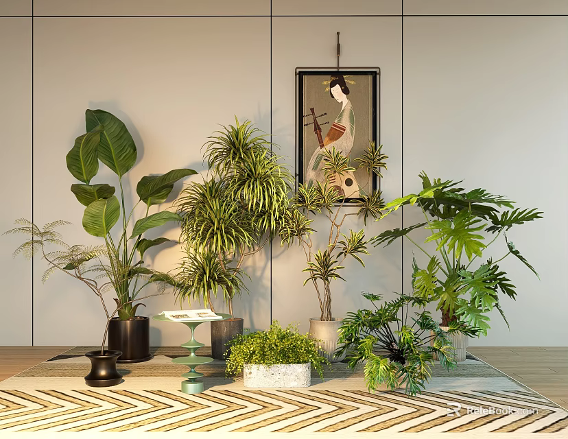 Indoor Decorative Bonsai and Potted Green Plants with Various Leaf Types and Stylish Pots 3d model 