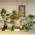 Indoor Decorative Bonsai and Potted Green Plants with Various Leaf Types and Stylish Pots