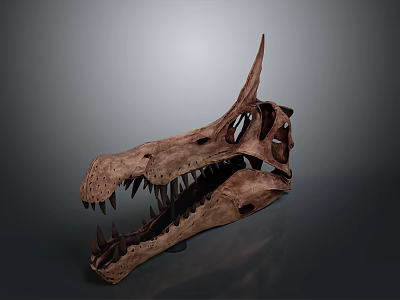 Ancient Dinosaur Skull Fossil With Sharp Teeth And Horn Structure On Dark Background 3d model
