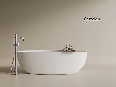 Cattelan White Freestanding Bathtub With Silver Faucet Tray And Minimalist Design 3d model
