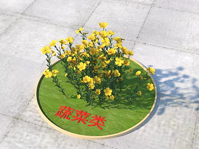 Vibrant Yellow Flowers Of Vegetable Plants Growing On Circular Green Lawn With Gray Stone Pavement 3d model