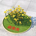 Vibrant Yellow Flowers Of Vegetable Plants Growing On Circular Green Lawn With Gray Stone Pavement