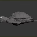 Modern Turtle Cartoon Turtle 3d model
