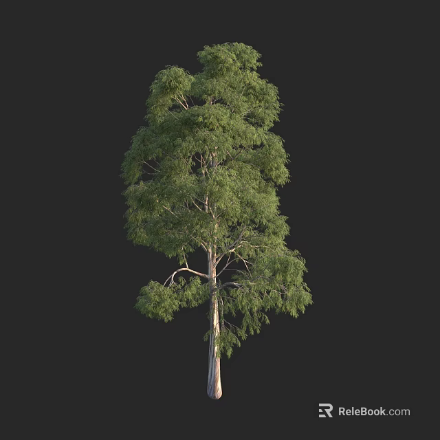 Lush Green Arbor with Dense Foliage and Straight Trunk in Isolated View 3d model 