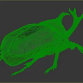 Detailed 3D Model of Metallic Flying Beetle with Gray Copper Carapace and Horned Head