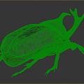 Modern Beetle Beetle 3d model