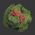 Vibrant Geranium Plant With Lush Green Leaves And Bright Red Flowers In Hemispherical Growth