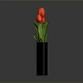 Four Red Tulips In Black Vases For Home Decor And Living Room Decoration