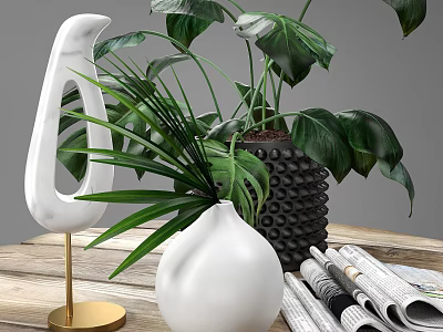 Decorative White Vase With Fresh Green Plants And Black Vase On Wooden Table 3d model