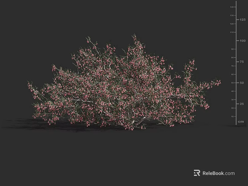Lush Decorative Shrub With Pink Flowers Green Leaves And Dense Branches For Garden Landscaping 3d model 