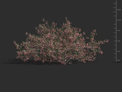 Lush Decorative Shrub With Pink Flowers Green Leaves And Dense Branches For Garden Landscaping 3d model