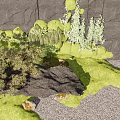 Natural Garden Landscape Featuring Gray Stone Wall Pine Trees Grasses and Mossy Rocks