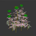 Blooming Red Roses With Green Stems And Leaves On Gray Background