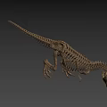 Realistic T Rex Dinosaur Skeleton With Detailed Bones And Standing Posture 3d model