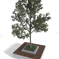 Square Tree Planter With Wooden Border Concrete Base And Green Tree Shadow 3d model