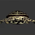 Modern Turtle Small Turtle Green Turtle Big Turtle Black Turtle 3d model