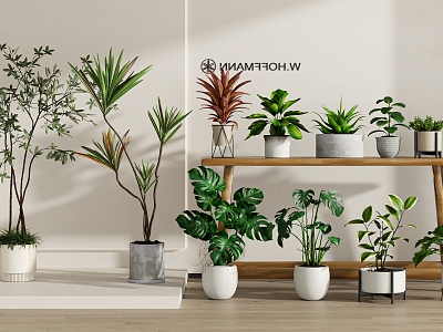 Modern Green Plant Potted Plant Combination model