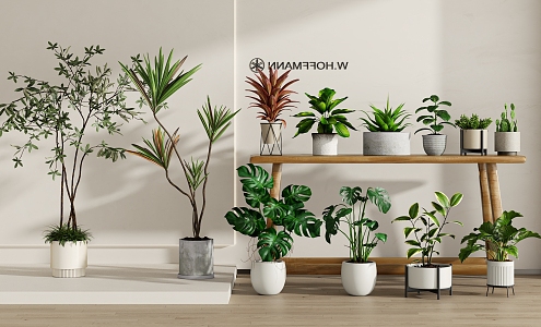 Modern Green Plant Potted Plant Combination 3d model