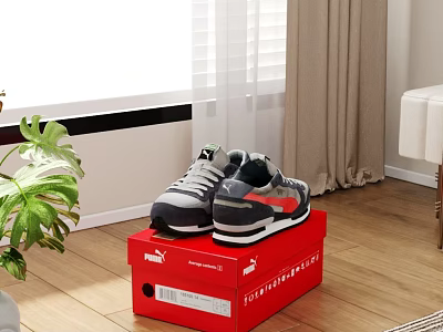 Fashionable Sports Shoes On Red Box In Cozy Living Room 3d model