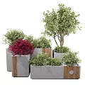Concrete Flower Planters With Red Green Shrubs And Trees In Outdoor Area