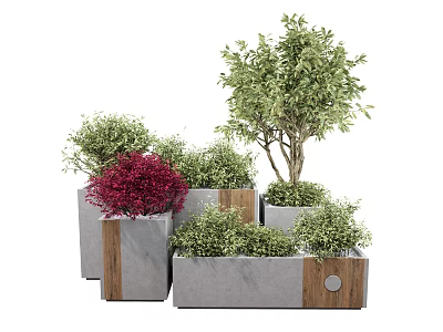 Concrete Flower Planters With Red Green Shrubs And Trees In Outdoor Area 3d model