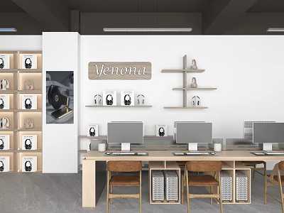 Verona Brand Display Studio With Wall Frames Shelves And Computer Workstations 3d model