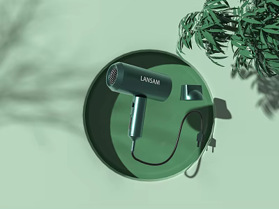 Laisim Hair Dryer On Green Plate With Green Plant And Light Green Background 3d model