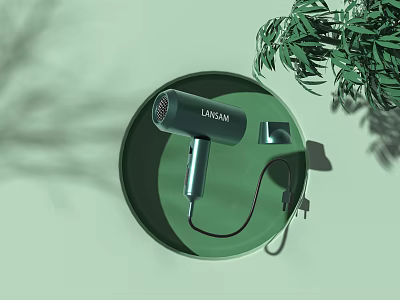 Laisim Hair Dryer On Green Plate With Green Plant And Light Green Background 3d model