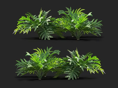 Lush Green Tropical Plants With Vibrant Foliage And Decorative Leaves 3d model