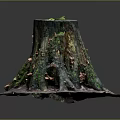 Natural Wooden Tree Stump With Green Moss Mushrooms And Fallen Leaves