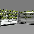 Modern Vertical Agricultural Equipment with Multi Layer Shelves Growing Green Plants