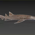 Graceful Shark Swimming in Clear Blue Ocean Water Under Sunlight Rays